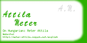 attila meter business card